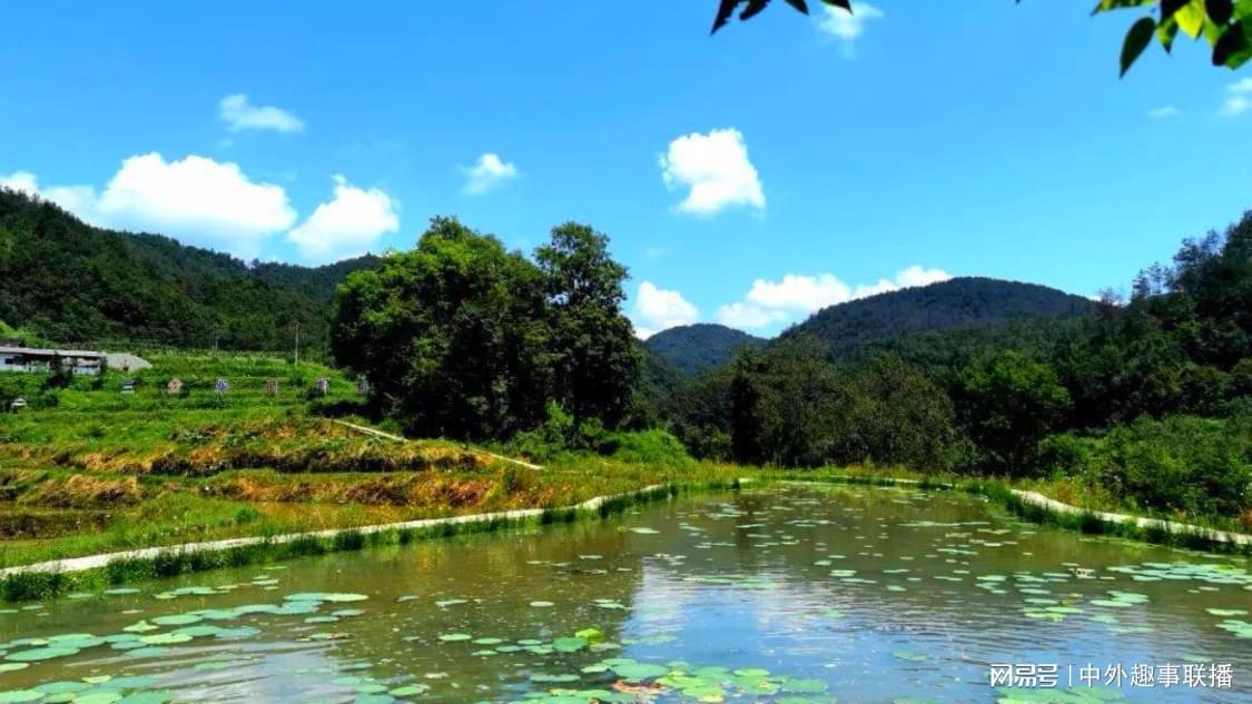 赵露思辣妹红发