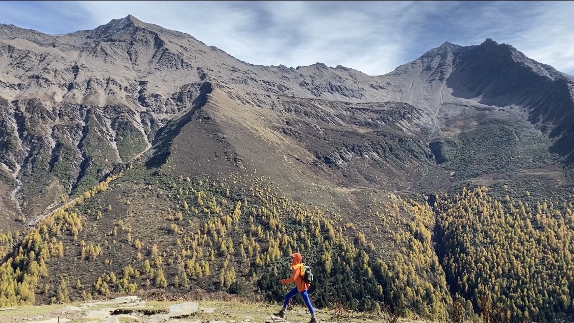 美国似乎在与自己谈判